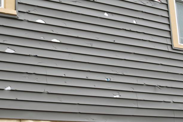 Best Siding Removal and Disposal  in USA